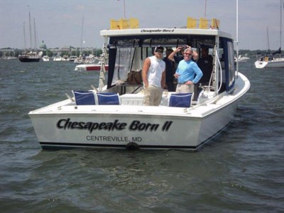 Chesapeake Born II Photo