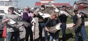 People holding up good looking fishes Photo