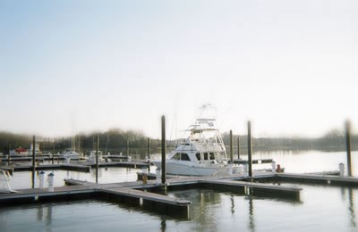 Queen Anne Marina Photo