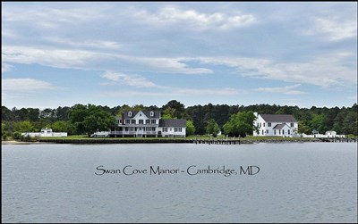 Swan Cove Manor Photo
