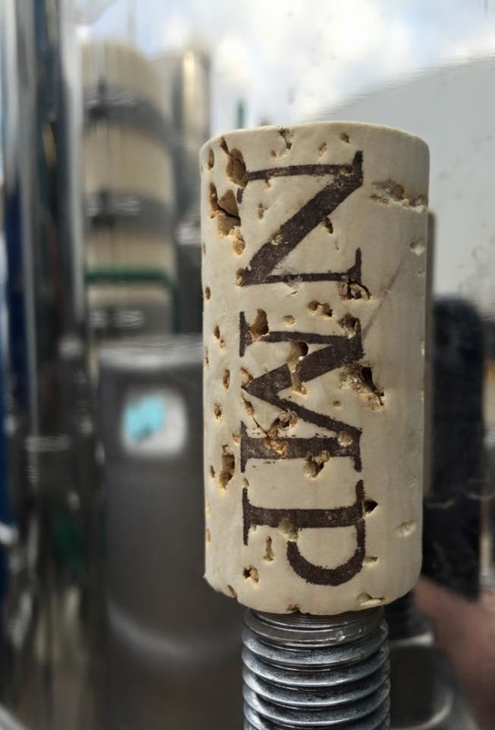 New Market Plains Vineyard Photo