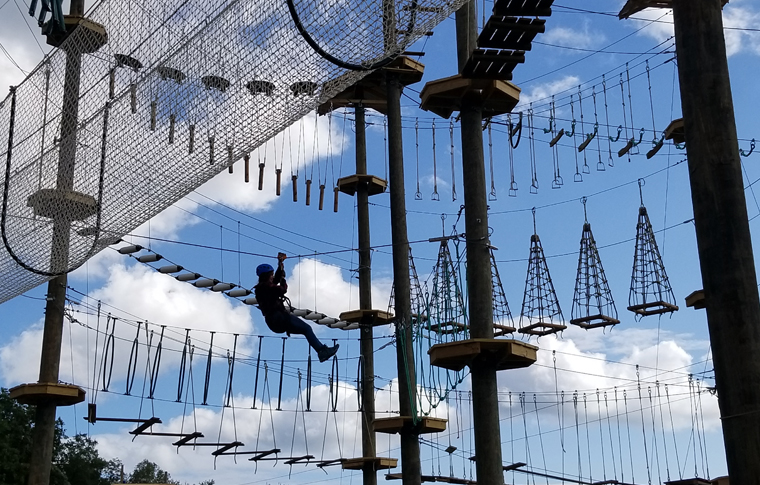 Obstacle at Monkey Business Adventure Park Photo