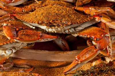 Steamed crabs Photo
