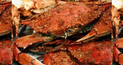 Steamed crabs Photo