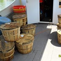 Baskets of crabs Photo