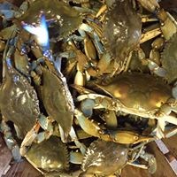 Bushel of crabs Photo