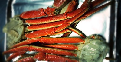 Snow crab legs Photo