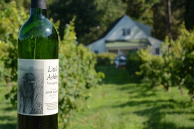 Wine at Little Ashby Vineyards Photo