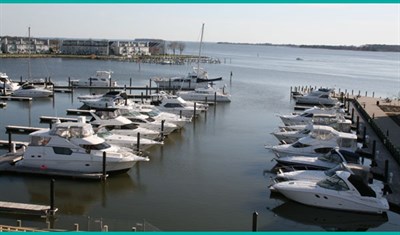 Wells Cove Marina aerial view Photo