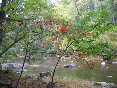 Palmer state park Photo