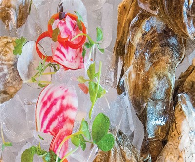 Oyster platter Photo