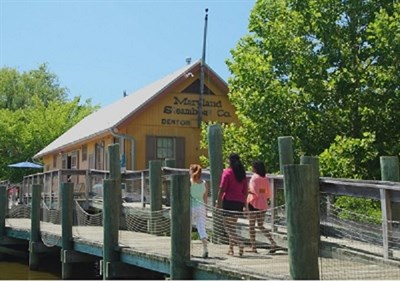 Denton steamboat wharf Photo