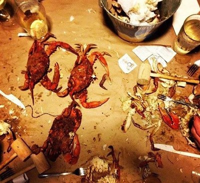 cracking crabs Photo