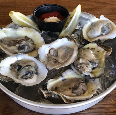 Oysters Photo