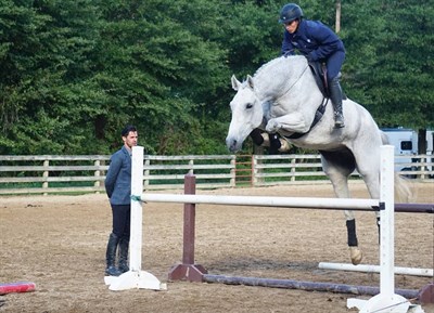 Tuckahoe Equestrian Center Foundation, Inc  Photo