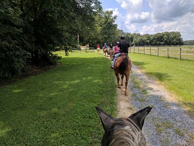 Holly Ridge Farm Photo