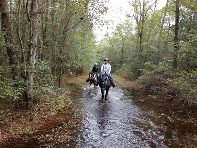 Hoof Prints Trail Center Photo