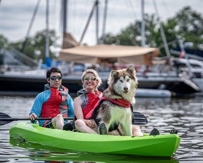 Whoof on the Wharf  Photo