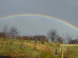 Rainbow over Deep Creek Cellars Photo