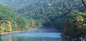 Savage River State Forest Photo