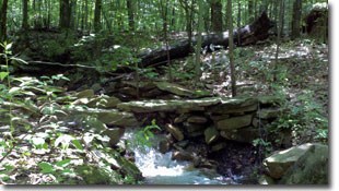 Dans Mountain State Park Photo