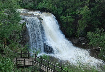 swallow falls Photo