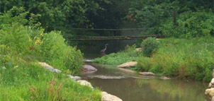 Albert Powell Fish Hatchery Photo