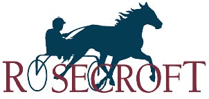 Rosecroft Raceway Photo