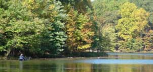 Seneca Creek State Park Photo