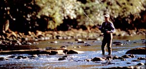 Fly fishing on Patuxent River Photo