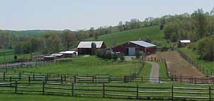 Above All Else at Windsong Photo