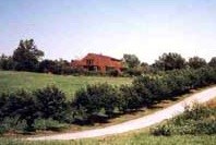 Butterfly Fields Photo