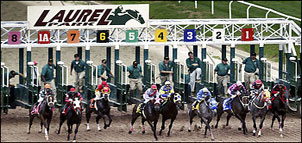 Laurel Park Photo