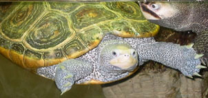 Oregon Ridge Nature Center Photo