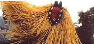 African Costume Photo