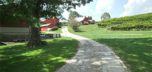 Galloping Goose Vineyards Photo