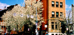 Biddle Street Inn Photo