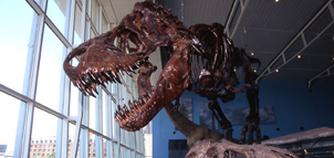 Maryland Science Center Photo