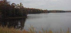 St. Mary's River State Park Photo