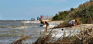 Beach at Flag Ponds Park Photo