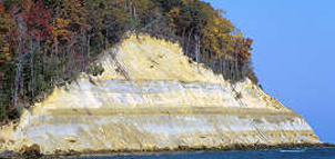 Calvert Cliffs State Park Photo