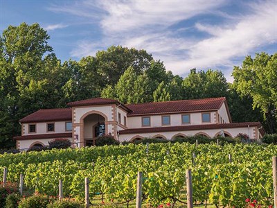 Running Hare Vineyard Photo