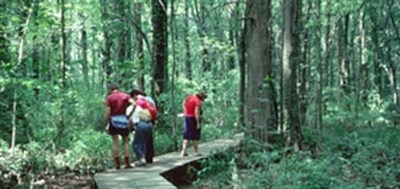 People hiking Photo