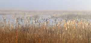 Pickering Creek Audubon Center Photo