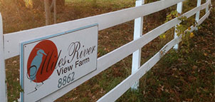 Miles River Guest House Photo