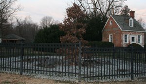 Wye Oak State Park Photo