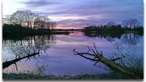 Wye Island-winter Photo