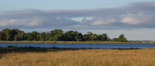 Eastern Neck National Wildlife Refuge Photo
