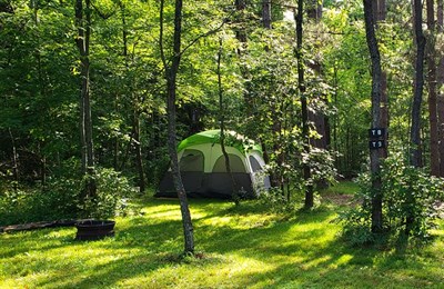 Bumble Bee RV Park &amp; Campground Photo