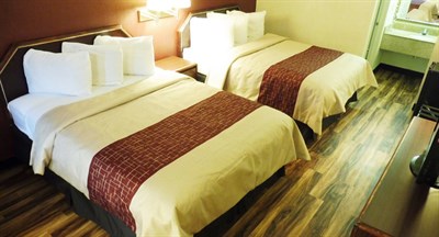 Red Roof Inn-Edgewood guest room Photo